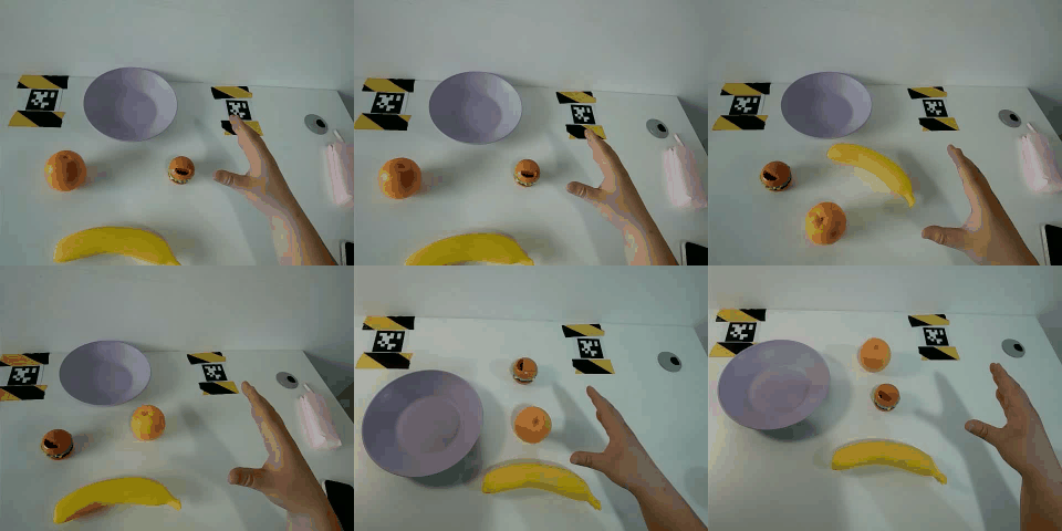 Hand motion forecasting demo in egocentric views